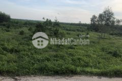 Đất bds tân phước lagi đường kinh tế mới 5x68