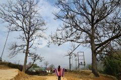 Bán mảnh đất có dt 500m2 thuộc mò phú trải xã y tý