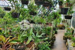 Bán nhà mặt tiền kinh doanh q. bình thạnh, dt 120m2, 3 lầu.