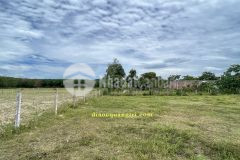 Cách đường hồ chí minh chỉ 100m, đường 5m có đèn đường đầy đủ tiện nghi. liên hệ em ngay nhé