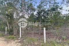 Đất bds tân bình lagi rừng vàng bình thuận 1,2 sào 3,8 tỷ