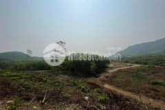 Bán đất xã khánh phú 7.800m2 đường oto giá rẻ lh 0788.558.552