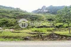 Bán đất thôn đầu cầu 2 cán tỷ quản bạ hà giang s966,8m2