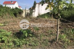 Làm thế nào để sở hữu một nền có lộ ô tô vi vu chỉ với 800 triệu