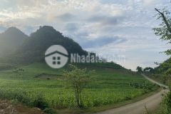 Siêu phẩm 6000m2 có 400m2 thổ cư ở thung mường, thung mường điểm nghỉ dưỡng mới của giới nhà giàu