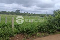 D453vpt bán 2 lô liền kề gần chợ cuôr đăng cư m gar