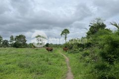 Đất sào bds tân nghĩa hàm tân 70x57 3 tỷ bình thuận