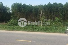 Đất khu đô thị la vang hải lăng, quảng trị đường nhựa 32m 0971599589