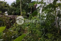 Cần bán lô đất dịch vụ khu c, yên nghĩa, hà đông 53m. giá 100tr 1m. 5,3 tỷ