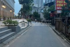 Cần bán 40m2 trục chính tdp an đào, trâu quỳ, gia lâm, vị trí kinh doanh đắc địa.