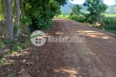 Đất bds sông phan hàm tân đường liên xã 30x170 bình thuận