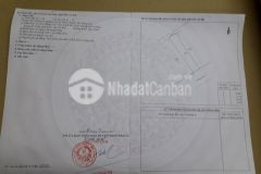 Cân ban gâp manh đât thô cư 100 ơ xa phươc khanh, huyên nhơn trach, tinh đông nai