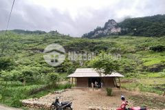 Bán đất thôn đầu cầu 2 cán tỷ quản bạ hà giang s1383,7m2