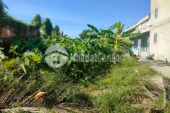 Bán gấp đất thổ cư hà huy phiên 425m2 8m x 53m,bình mỹ củ chi. lh0967399045.