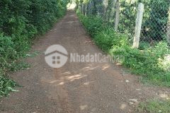 Bán lô đất sào hòa thuận view siêu đẹp.