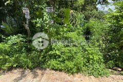 D493 bán đất thôn cao thành xã eakao