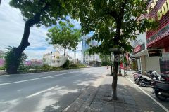 Nhà mặt phố giảng võ ba đình 55m2mt 4.2m 240trm.