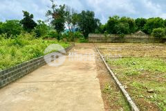 Cc gửi bán lô đất 300m phú mãn, quốc oai, hà nội giá hơn 3ty