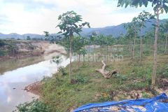 Bán đất giáp sông quy hoạch full thổ cư xã khánh phú, khánh vĩnh giá rẻ