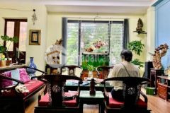 Cực hiếm phố tô vĩnh diện, 48m2, 5t, mt 5m, nhỉnh 5 tỷ