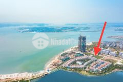 Gia đình phá sản cần chuyển nhượng lại lô đất