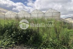 D1166 bán gấp lô đât hem ô tô nhưa thai phiên phương 12 tp đa lat