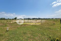 Bán nhanh đất gía rẻ kdc phổ lại thanh an cam lộ.