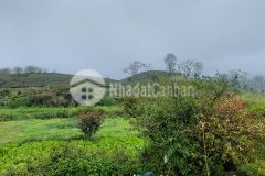 Đất mộc châu mặt đường ql 104