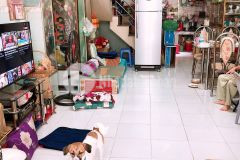Nhà bán hẻm xe hơi tránh 2 tầng đẹp lung linh 42m2 nhỉnh 5tỷ 0901462938 ms. dung