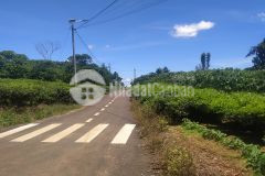 Chuyển nơi khác sinh sống cần bán gấp lô đất bảo lộc