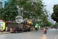 Bán biệt thự trần kim xuyến khu đô thị yên hoà 155m 56 tỷ