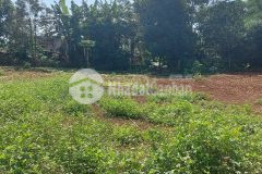 Bán đất ea kmat xã hòa đông krông păc giá 560 triệu