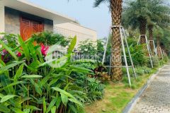 Bán lô góc 213m 2 mặt tiền vip của vip nằm trong khu nghỉ dưỡng xinh đẹp tiến xuân, thạch thất