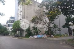 Lô góc đất đấu giá mậu lương gần chợ mậu lương 60m2 chỉ 7.28 tỷ. lh 0989.62.6116