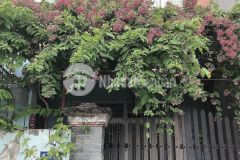 Bán nhà q12 chỉ 40trm2 giá đầu tư chỉ 3.6 tỷ vị trí vàng đầu tư tốt.