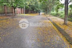 Bán đất bt vina2 kđt quang minh mê linh hn, lô 2 mặt tiền đường 13m, dt335m2.