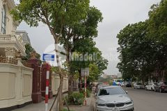 Cần bán nhà đường việt hưng long biên 100m2, 4t, 6m mt, giá 16.3 tỷ, vỉa hè, kd.