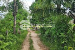 Bán đất kiệt nguyễn thiện thuật đại áng đông lương đông hà