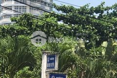 Biệt phủ 300m2 đỗ huy uyển, sơn trà, gần biển, gần sông, giá đầu tư