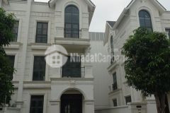 Chính chủ bán vinhomes ocean park, huyện gia lâm, biệt thự song lập 3.5 tầng view shophous