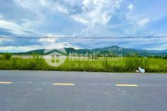 Bán đất mặt đường tỉnh lộ 8 diên lâm, vị trí đẹp giá đầu tư