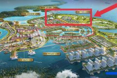 Đâu tư shophouse măt biên sinh lơi cao tai dư an đôi rông đô sơn 132m2 13.8 ty