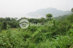 Bán 5000m2 đất mặt tiền trần phú 45trm2