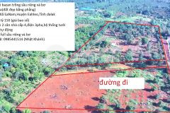 Bán gấp lô 2ha1 đất 2 mặt tiền đường trồng sầu riêng và bơ có sẵn 2 căn nhà cấp 4 tại đaklak