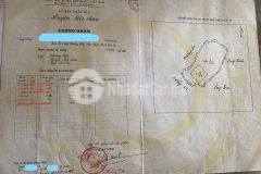 Bán mảnh đất chiềng hắc mộc châu dt 2700m2 giá siêu rẻ