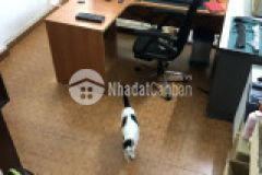 Bán nhà vị trí lê trọng tấn, 3.5 x 15.5, 2 lầu, 4 tỷ 400, tân phú