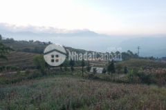 Bán đất mò phú chải, y tý s1084m2