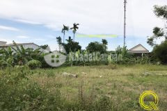 Bán đất nguyễn thị lýtxxqtchỉ 1xxx