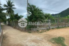 Chủ kẹt tiền bán phá giá thị trường