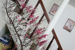 Sở hữu ngay nhà riêng phường vĩnh hưng, 3,5 tầng, vị trí đắc địa, giá tốt nhất thị trường